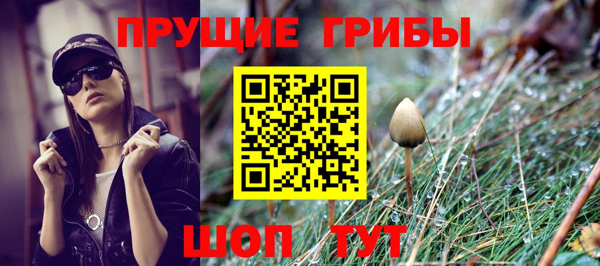 Самара  Галлюциногенные грибы прущие грибы  Вход с VPN  Псилоцибиновые грибы Psilocybine cubensis 